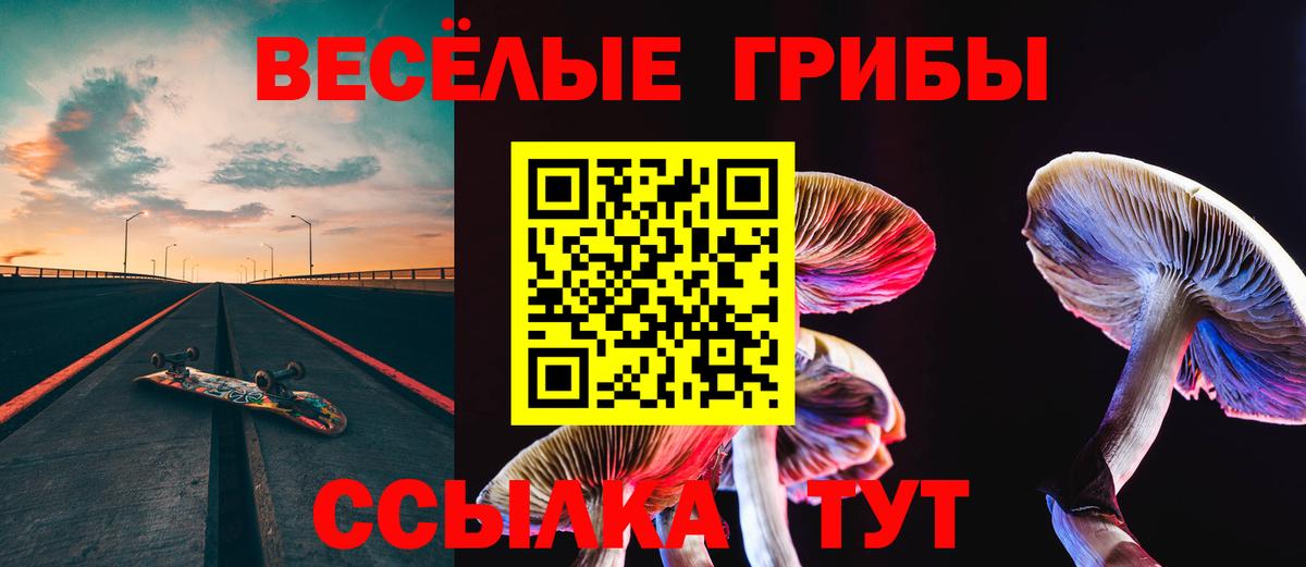 Псилоцибиновые грибы Psilocybe Джанкой